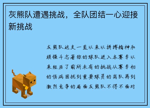 灰熊队遭遇挑战，全队团结一心迎接新挑战